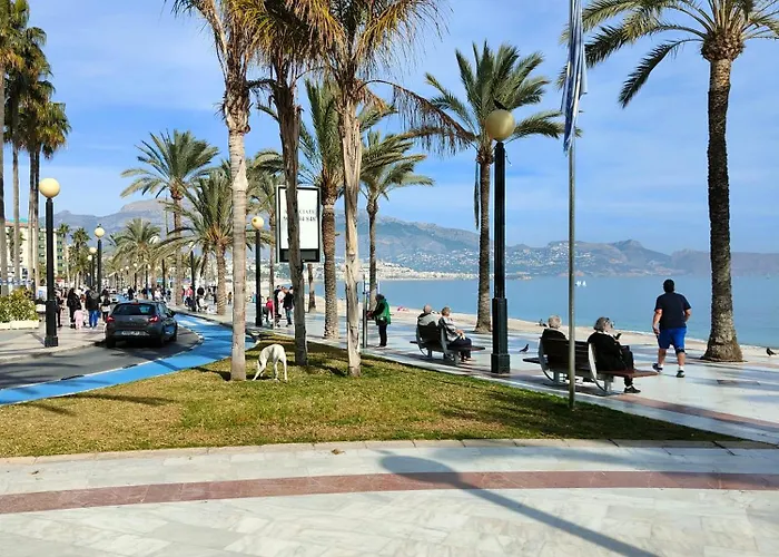 Albir * アルビール
