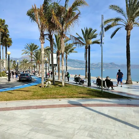 Albir * El Albir